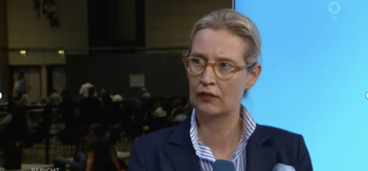 Wie rückt man AfD-Politiker ins schlechte Licht?