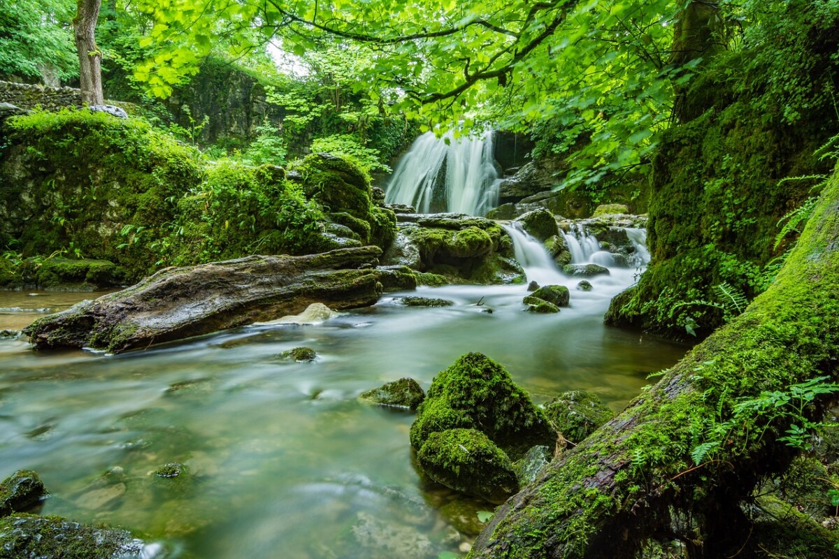 Das Wasser  … und die Genies, die seinen Wundern auf die Spur kamen