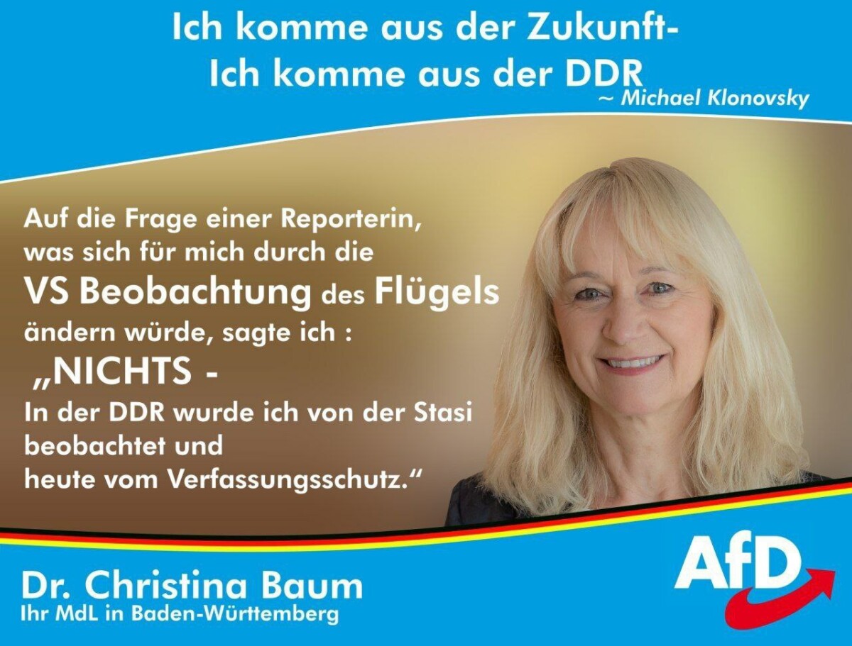 Der Aufstieg der AfD, der Verfassungsschutz und das Parteienverbot