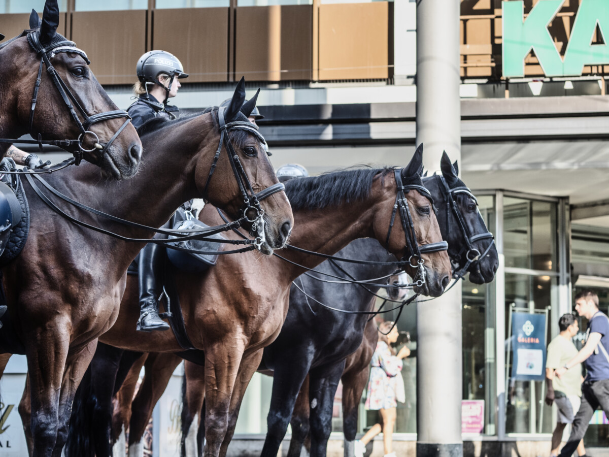 Aufgeheizte Stimmung bei AfD-Demo in Mannheim. Ein Fotobericht. Wo beibt unsere Rosa Parks?